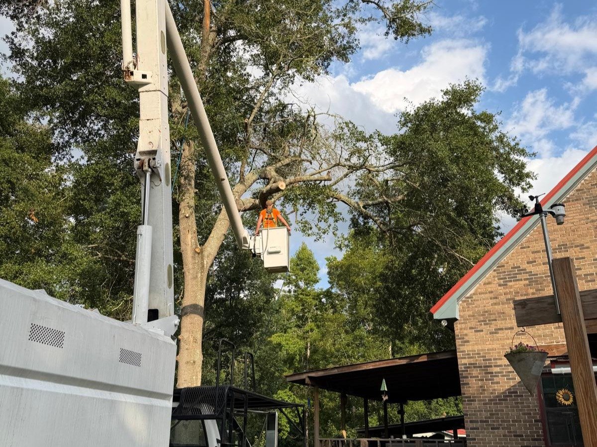 El Costeño Tree Service LLC